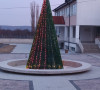 Novogodišnja jelka