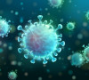 koronavirus