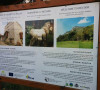Manastir Visoki Dečani