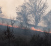 Požar kod Novog Brda