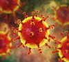 koronavirus