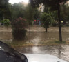 Albanija