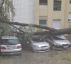 Nevreme u Kragujevcu