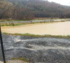 Poplave