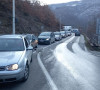 Brnjak gužva