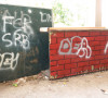 Sušica grafiti