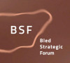 Bledski strateški forum