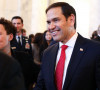Mark Rubio