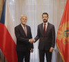Pavel i Milatović