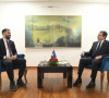 Kurti i Krasnići