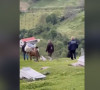 Glasačke kutije u Albaniji