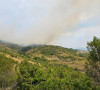 požar selo Borčane, Leposavić