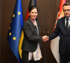 Petković i Holštajn