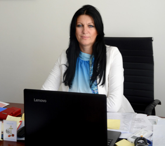 Načelnica Školske uprave Jasmina Dedić Načelnica Školske uprave Jasmina Dedić