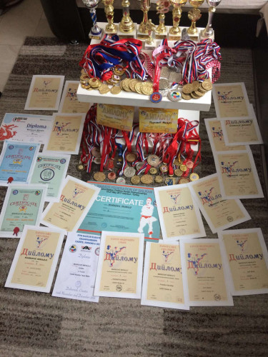 Medalje i priznanja Medalje i priznanja