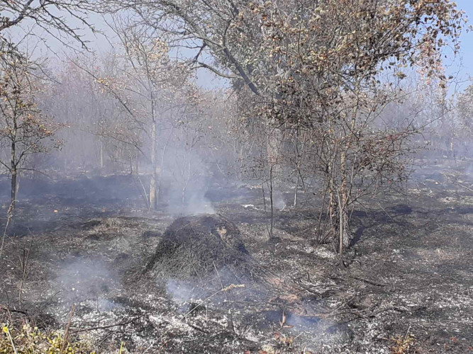 Požar u Žitkovcu Požar u Žitkovcu