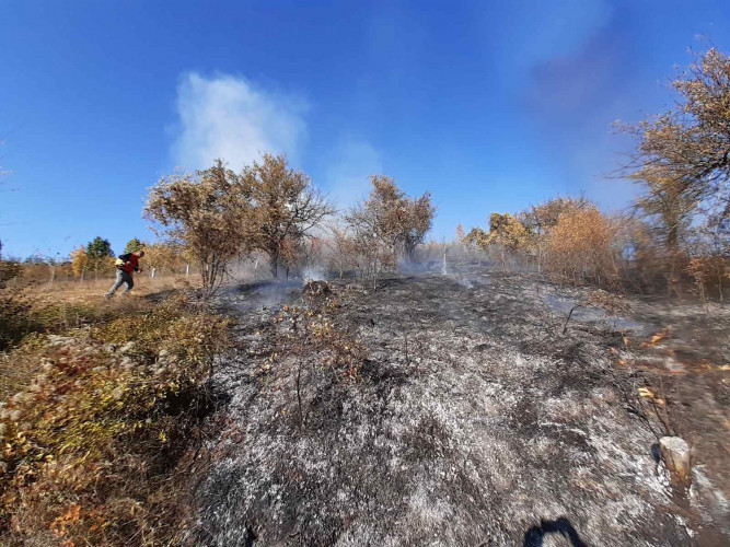 Požar u Žitkovcu Požar u Žitkovcu