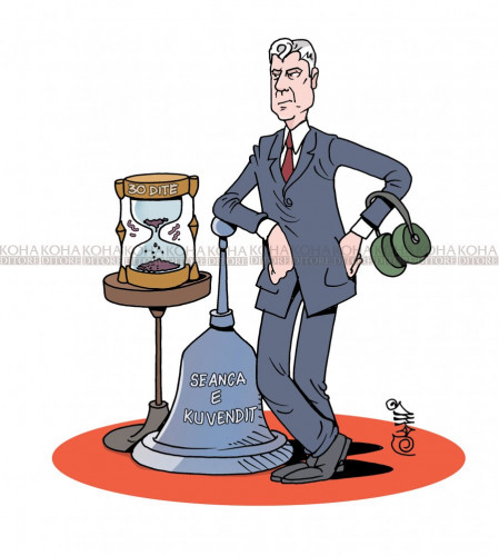 karikatura dana 30.11.2019.