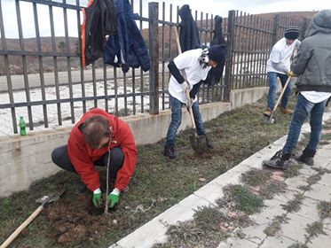 Pošumljavanje groblja Pošumljavanje groblja