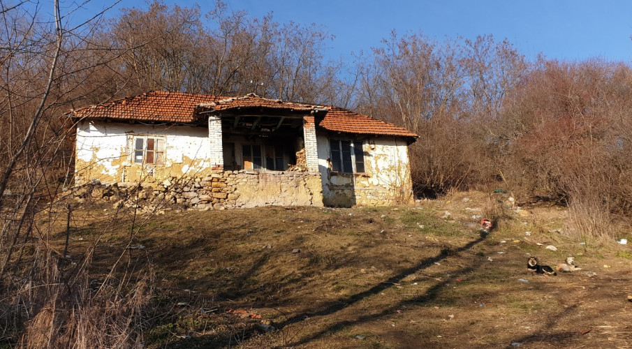 Vesna 3