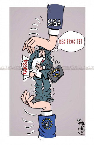 Karikatura dana 11.2.2020.