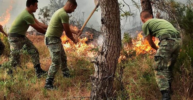 Albanija - Vojnici gase požar Albanija - Vojnici gase požar