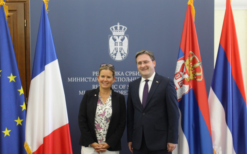 Selaković sa delegacijom Grupe prijateljstva Francuska-Zapadni Balkan u Senatu Francuske