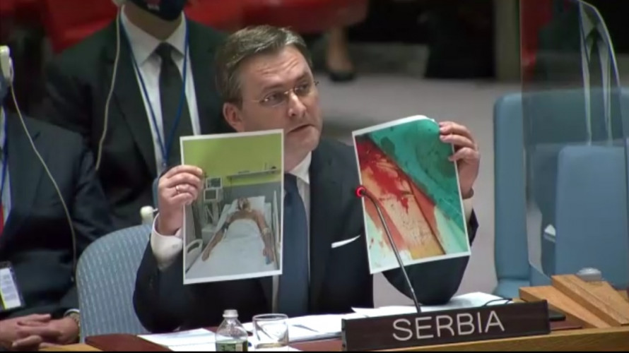 Ministar Selaković pokazao slike ranjenog Srećka Sofronijevića na sednici SB UN