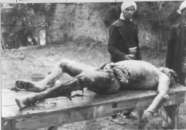 Zločini Albanaca na Kosovu, 1941. Zločini Albanaca na Kosovu, 1941.