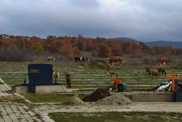 Groblje u Gračanici 