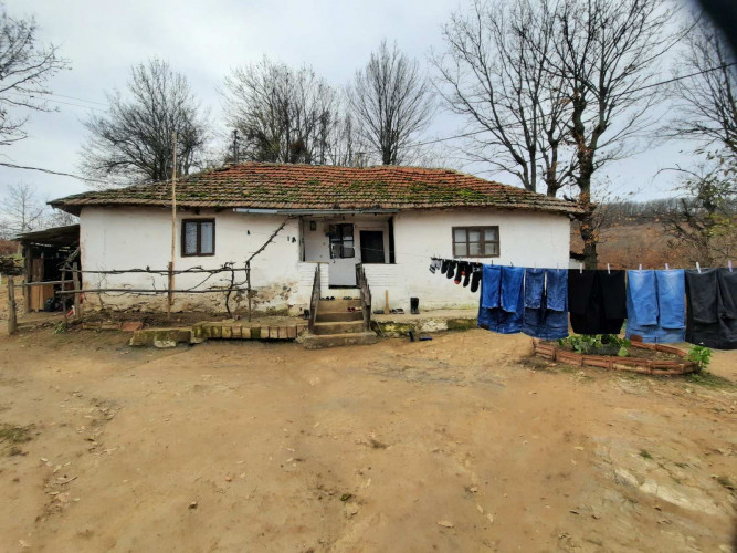 Kuća Maksimovića
