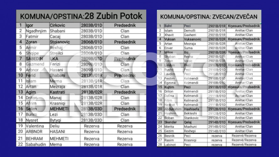 Birački odbori Birački odbori