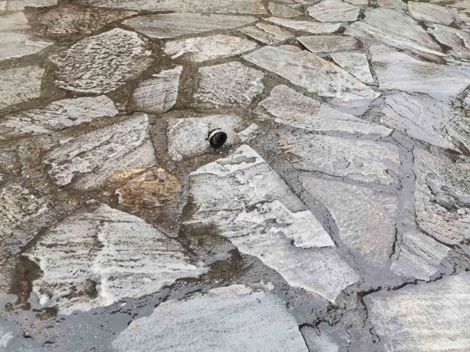 Patrona suzavca u porti crkve Svetog Đorđa