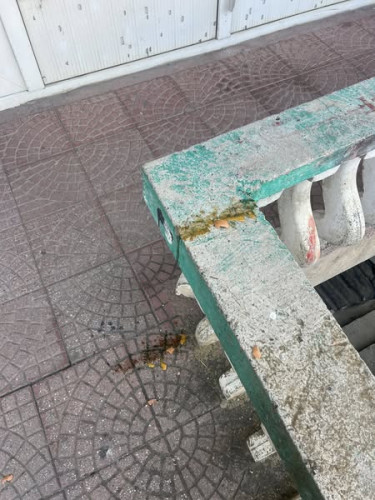 Kurti u Srbici gađan jajima