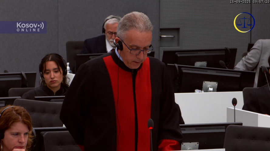 Advokat odbrane Luka Mišetić