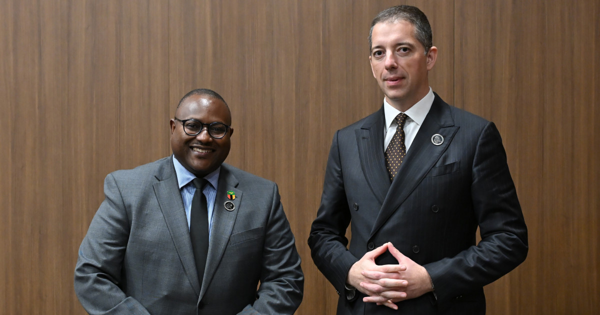 Đurić razgovarao sa šefom diplomatije Zambije, zahvalio na podršci te zemlje suverenitetu Srbije