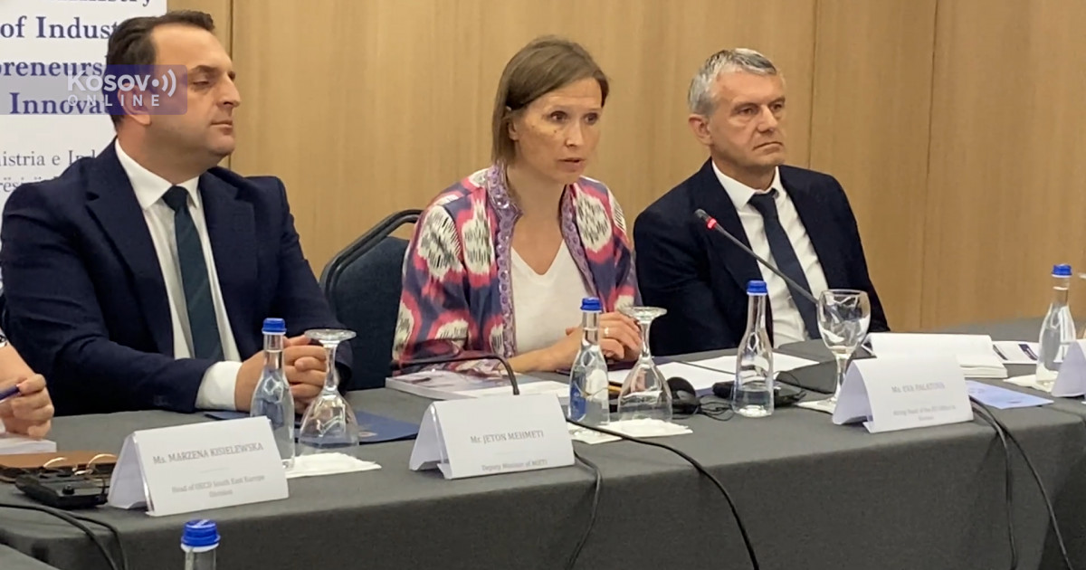 Palatova: Kosovu potrebne funkcionalne institucije