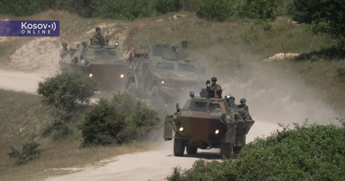 Distinguished Visitors Day held during “Platinum Wolf 26” ex