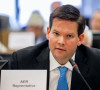 Lukas Mandl