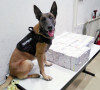 Neron