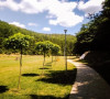 Parkovi