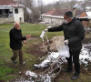 Kosovska Kamenica 