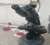 Koronavirus