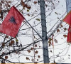 Albanska i CG zastava