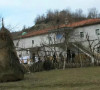 Žuta kuća