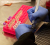 laboratorija kovid
