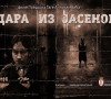 dara iz jasenovca poster