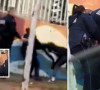 vučitrn policija