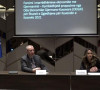 nemačko kosovska provredna komora
