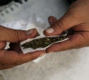 marihuana